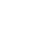 FlyFly PRO